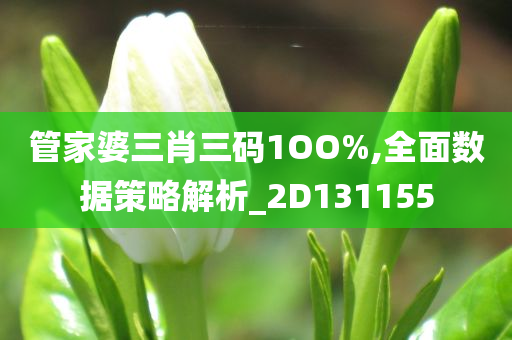 管家婆三肖三码1OO%,全面数据策略解析_2D131155