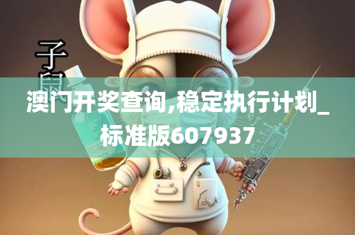 澳门开奖查询,稳定执行计划_标准版607937