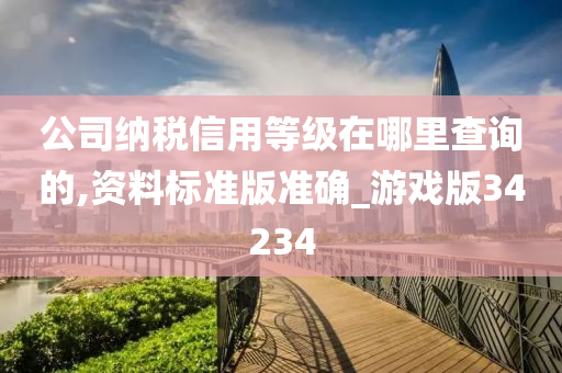 公司纳税信用等级在哪里查询的,资料标准版准确_游戏版34234