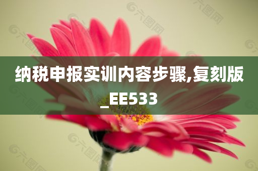 纳税申报实训内容步骤,复刻版_EE533