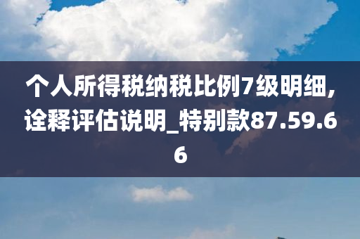 个人所得税纳税比例7级明细,诠释评估说明_特别款87.59.66