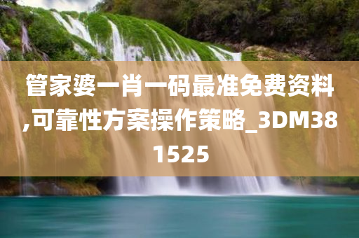 管家婆一肖一码最准免费资料,可靠性方案操作策略_3DM381525