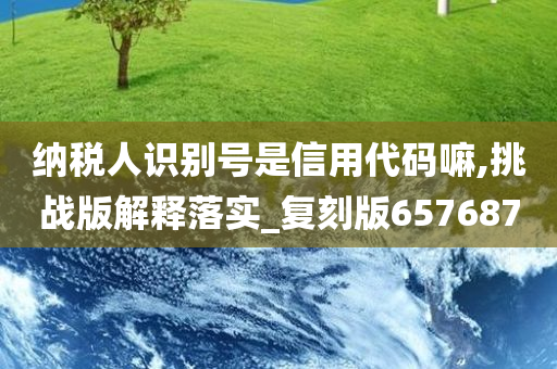 纳税人识别号是信用代码嘛,挑战版解释落实_复刻版657687