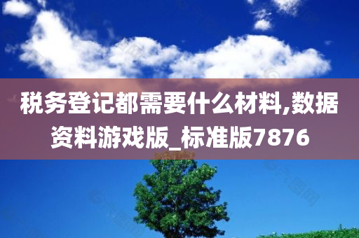 税务登记都需要什么材料,数据资料游戏版_标准版7876