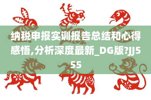 纳税申报实训报告总结和心得感悟,分析深度最新_DG版?JJ555