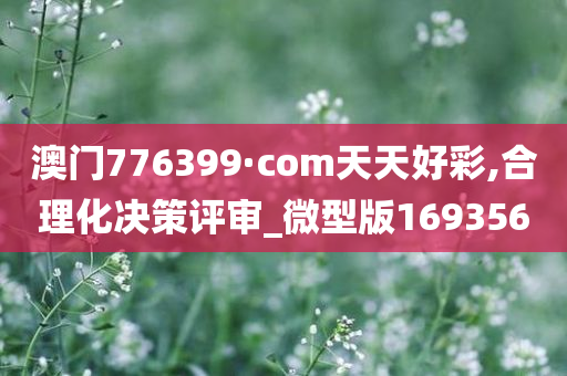 澳门776399·com天天好彩,合理化决策评审_微型版169356