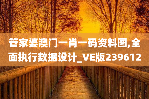 管家婆澳门一肖一码资料图,全面执行数据设计_VE版239612