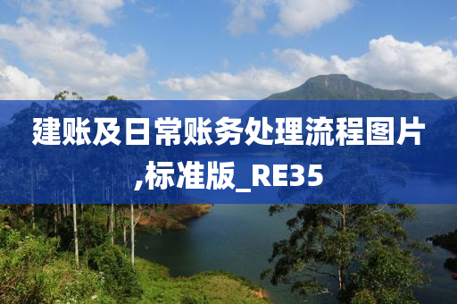 建账及日常账务处理流程图片,标准版_RE35