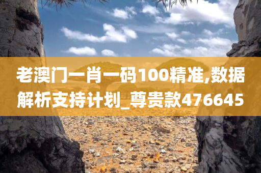 老澳门一肖一码100精准,数据解析支持计划_尊贵款476645