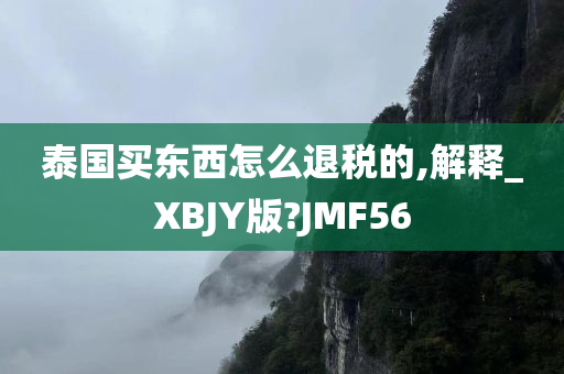 泰国买东西怎么退税的,解释_XBJY版?JMF56