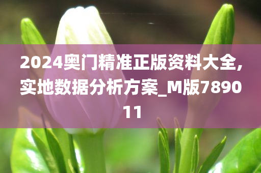 2024奥门精准正版资料大全,实地数据分析方案_M版789011