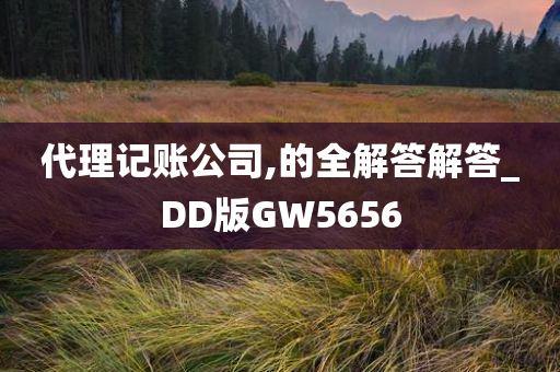 代理记账公司,的全解答解答_DD版GW5656