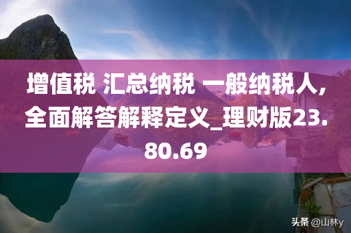 增值税 汇总纳税 一般纳税人,全面解答解释定义_理财版23.80.69