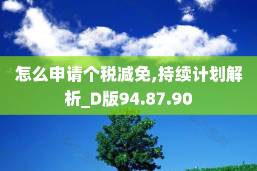 怎么申请个税减免,持续计划解析_D版94.87.90