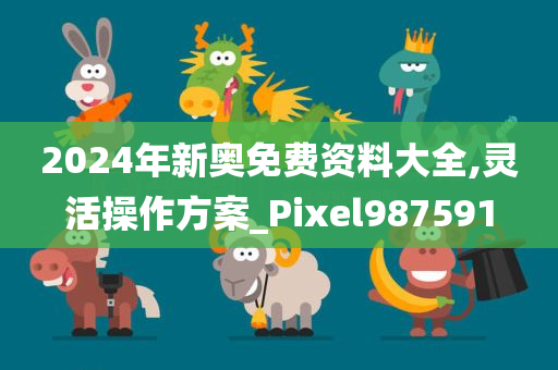 2024年新奥免费资料大全,灵活操作方案_Pixel987591