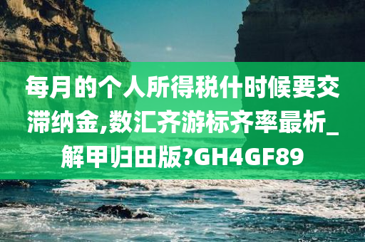 每月的个人所得税什时候要交滞纳金,数汇齐游标齐率最析_解甲归田版?GH4GF89