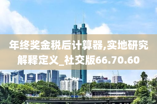 年终奖金税后计算器,实地研究解释定义_社交版66.70.60