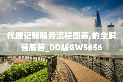 代理记账服务流程图表,的全解答解答_DD版GW5656