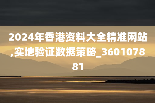 2024年香港资料大全精准网站,实地验证数据策略_360107881