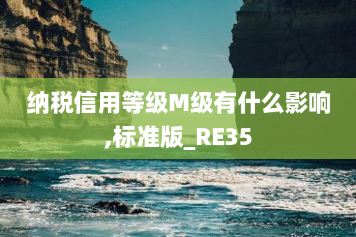 纳税信用等级M级有什么影响,标准版_RE35