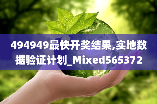 494949最快开奖结果,实地数据验证计划_Mixed565372