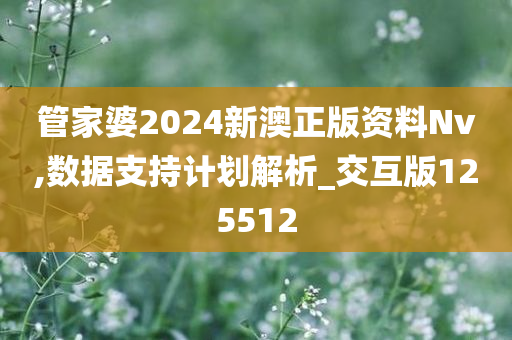 管家婆2024新澳正版资料Nv,数据支持计划解析_交互版125512