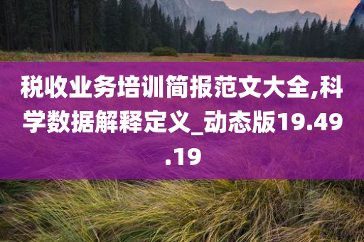 税收业务培训简报范文大全,科学数据解释定义_动态版19.49.19