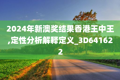 2024年新澳奖结果香港王中王,定性分析解释定义_3D641622