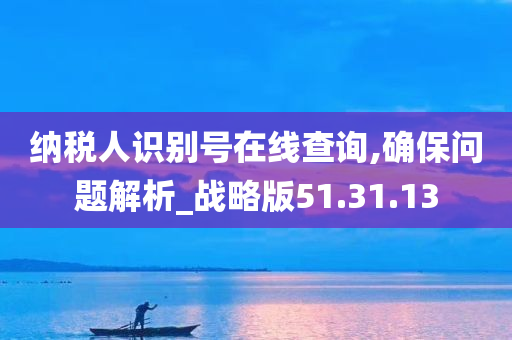 纳税人识别号在线查询,确保问题解析_战略版51.31.13