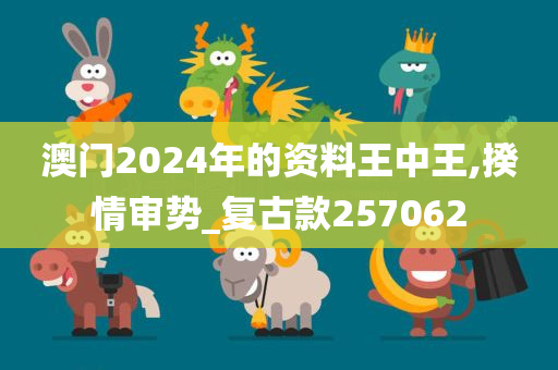 澳门2024年的资料王中王,揆情审势_复古款257062