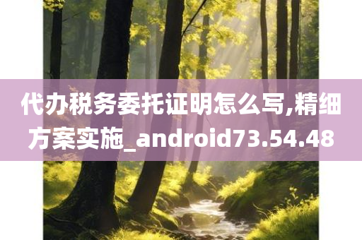 代办税务委托证明怎么写,精细方案实施_android73.54.48