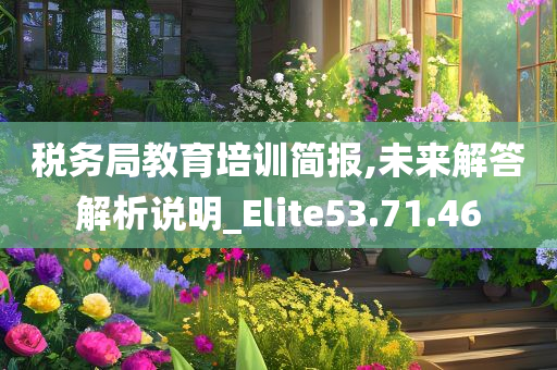 税务局教育培训简报,未来解答解析说明_Elite53.71.46