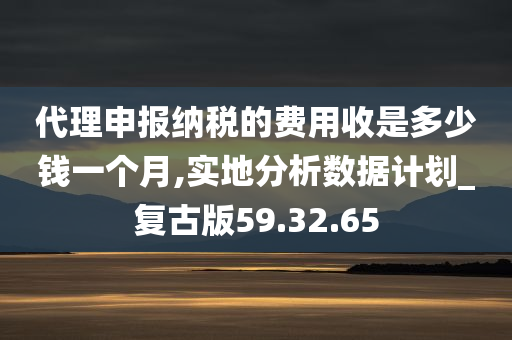 代理申报纳税的费用收是多少钱一个月,实地分析数据计划_复古版59.32.65