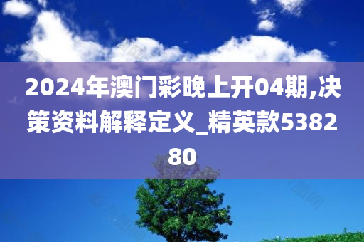 2024年澳门彩晚上开04期,决策资料解释定义_精英款538280