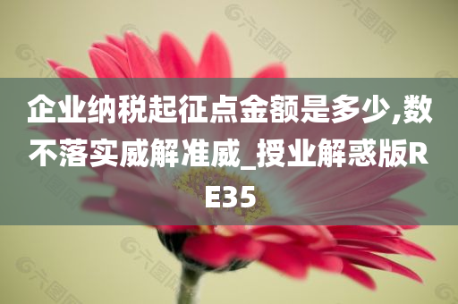 企业纳税起征点金额是多少,数不落实威解准威_授业解惑版RE35