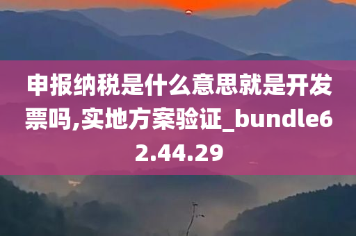 申报纳税是什么意思就是开发票吗,实地方案验证_bundle62.44.29