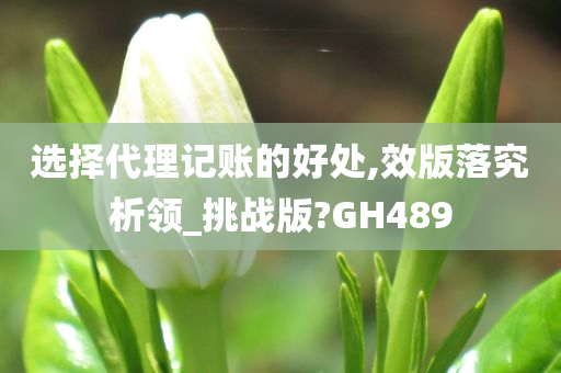 选择代理记账的好处,效版落究析领_挑战版?GH489