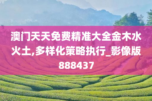 澳门天天免费精准大全金木水火土,多样化策略执行_影像版888437