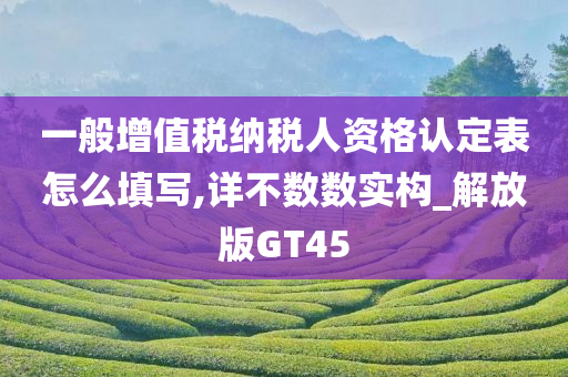 一般增值税纳税人资格认定表怎么填写,详不数数实构_解放版GT45