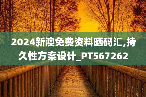 2024新澳免费资料晒码汇,持久性方案设计_PT567262