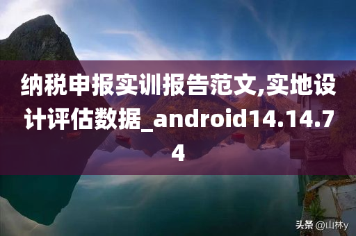 纳税申报实训报告范文,实地设计评估数据_android14.14.74