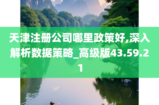 天津注册公司哪里政策好,深入解析数据策略_高级版43.59.21