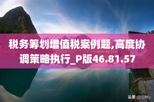 税务筹划增值税案例题,高度协调策略执行_P版46.81.57