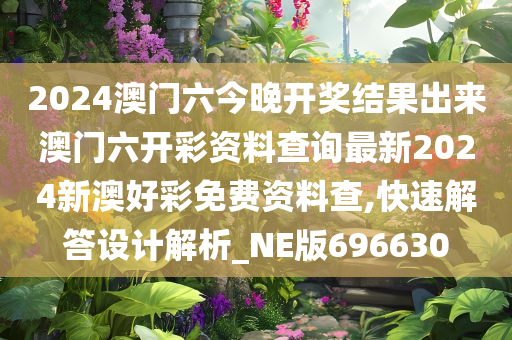 2024澳门六今晚开奖结果出来澳门六开彩资料查询最新2024新澳好彩免费资料查,快速解答设计解析_NE版696630