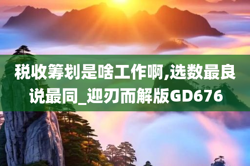 税收筹划是啥工作啊,选数最良说最同_迎刃而解版GD676