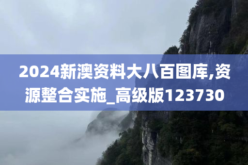 2024新澳资料大八百图库,资源整合实施_高级版123730