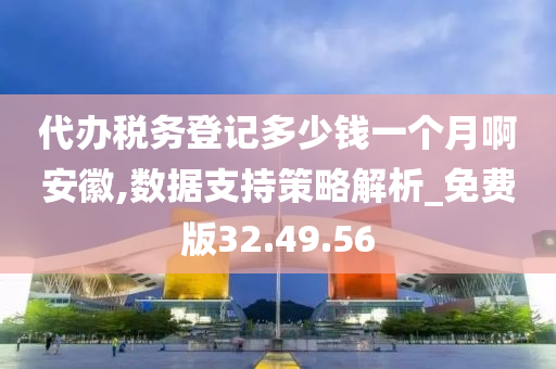 代办税务登记多少钱一个月啊安徽,数据支持策略解析_免费版32.49.56