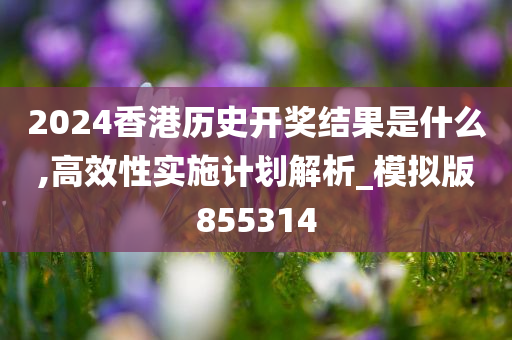 2024香港历史开奖结果是什么,高效性实施计划解析_模拟版855314