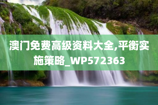 澳门免费高级资料大全,平衡实施策略_WP572363