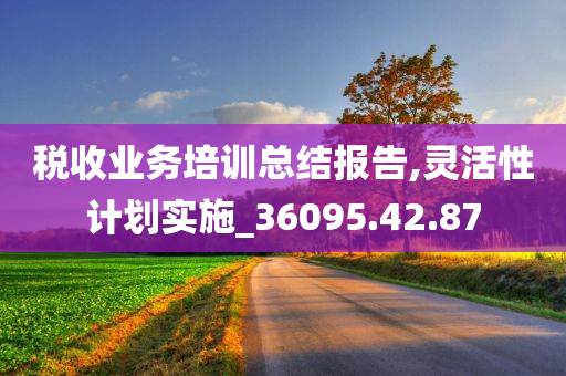 税收业务培训总结报告,灵活性计划实施_36095.42.87